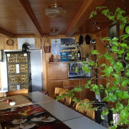 Panorama Hotel Wagenkehr Innertkirchen Ngoại thất bức ảnh